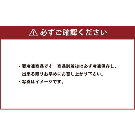 ふるさと納税 フジチク 熊本特産！ 希少部位 を含む 贅沢 馬刺し セット 合計約1.05kg 詰合せ 熊本県 特産品 馬肉 熊本県菊陽町