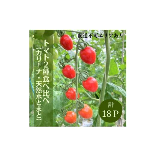 ふるさと納税 兵庫県 加西市 トマト 2種 食べ比べ （ カリーナ ・ 天然水トマト ）計18パック