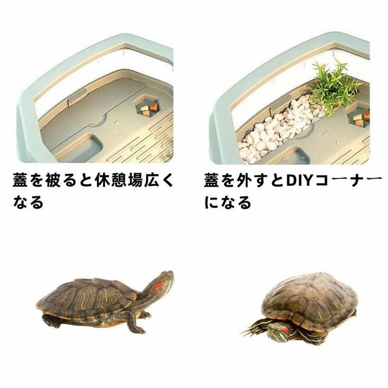 亀 両生類 水槽 飼育ケース タートルタンク カメ生息地 大空間 亀 両生類 水槽 飼育ケース タートルタンク カメ生息地 大空間