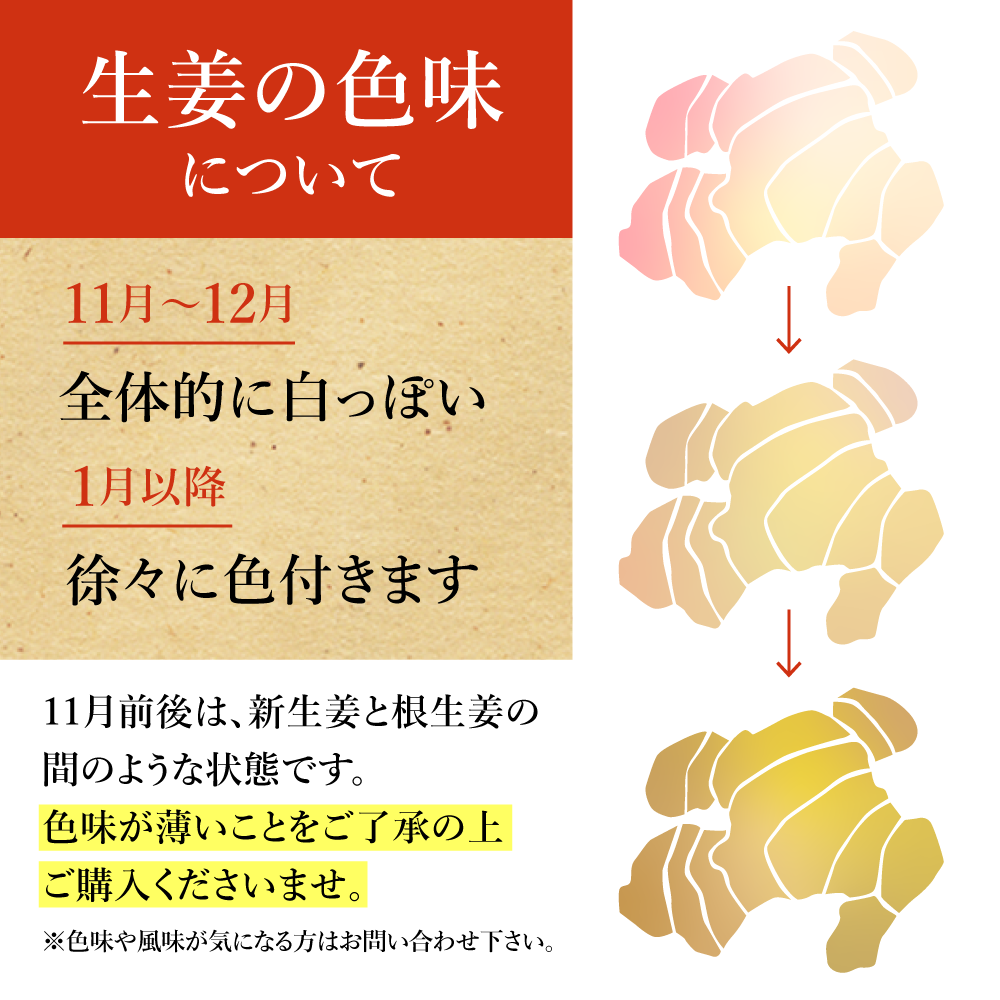 無農薬 生姜 1kg 高知県産 国産 送料無料 生姜 しょうが ショウガ 根生姜 佃煮 薬味 きざみ 生姜 生姜焼き 唐揚げ