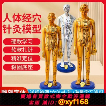 {可打統編 保固一年}針灸模型人體針灸小皮人中醫按摩全身十二經絡穴位可扎針銅人家用
