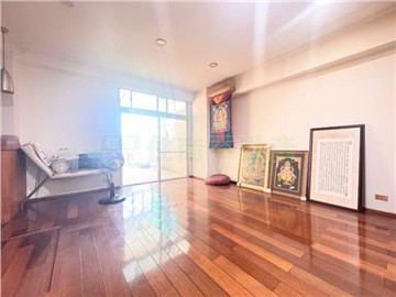 龍潭市中心-稀有大地坪美別墅-雙車位｜桃園市龍潭區五福街