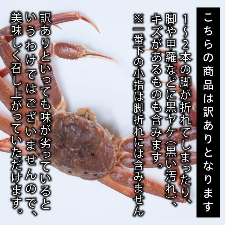 松葉ガニ  活 ボイル 訳あり 2kg 3~6枚 姿 ズワイガニ かに カニ 松葉蟹 生きたまま 松葉がに 産地直送 鳥取 送料無料（北海道・沖縄を除く）