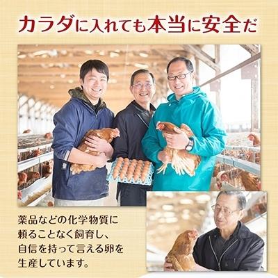 ふるさと納税 えびの市 こだわりタマゴ　「康卵」　80個セット