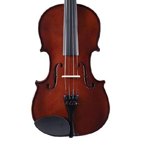 Palatino VN-350 Campus Violin Outfit, Size