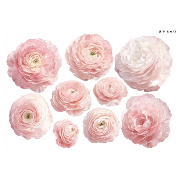 【10月新品4】20-22-0074 裁切紙・拼貼素材 陸蓮花