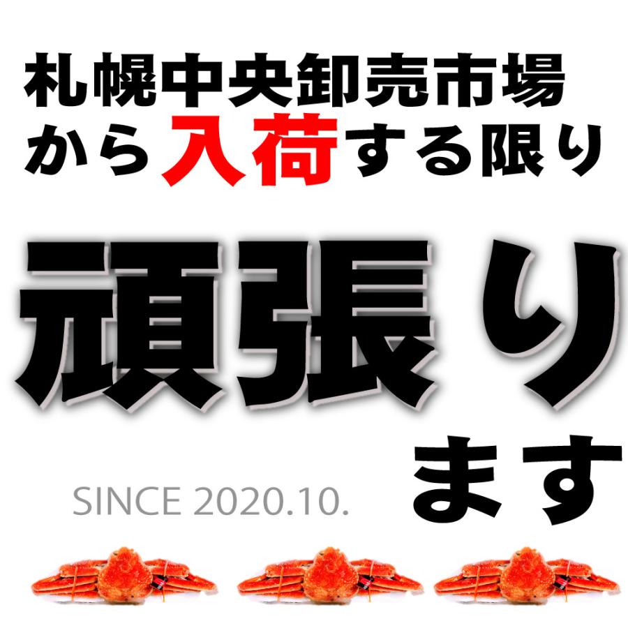 送料無料 ずわいがに 姿 800g前後 北海道 ズワイガニ zuwai ずわい かに ギフト かに鍋 グルメ フードロス 食品ロス お歳暮 御歳暮 クリスマス