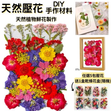 【A-ONE】超值乾燥壓花包 乾燥花材料包 花藝 乾燥花 永生花壓花 量販包-凡爾賽之春 CC02_廠商直送