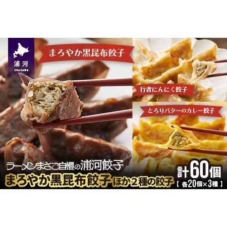 ふるさと納税 まろやか黒昆布餃子ほか2種の餃子(行者にんにく・カレー)20個入×各1袋[04-085] 北海道浦河町