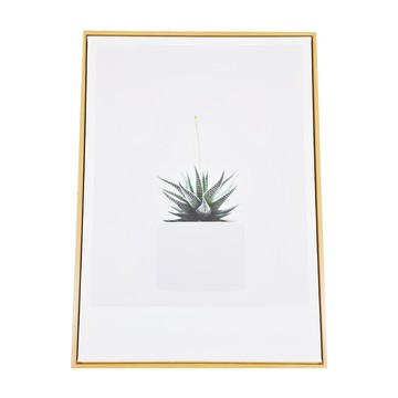 小鮮綠之希望不遠處 有框畫 59.4 x 40cm 1個  木色