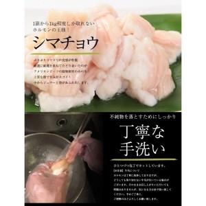 ふるさと納税 中トロホルモン 西京味噌焼き 600g 牛肉 シマ腸 焼肉 京都府舞鶴市