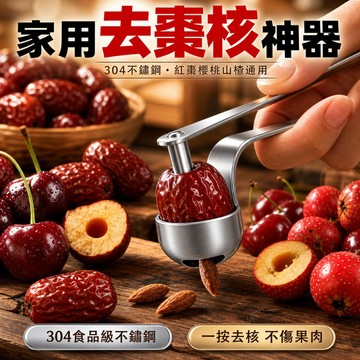🔥台灣熱賣🔥家用去棗核神器 304不鏽鋼紅棗去核器 取核器 去棗核神器 水果去籽器 櫻桃山楂取心器 針孔去核