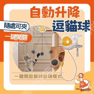 🔥百福鴨台灣現貨8h隔日配🔥自動升降逗貓球 逗貓球 貓咪減壓玩具 自動逗貓球 寵物互動玩具 貓咪玩具 逗貓玩具