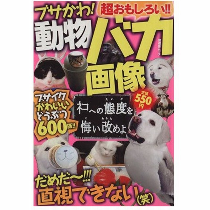 ブサかわ 動物バカ画像 超おもしろい ブサイクかわいいどうぶつ６００匹 晋遊舎ムック 晋遊舎 通販 Lineポイント最大0 5 Get Lineショッピング