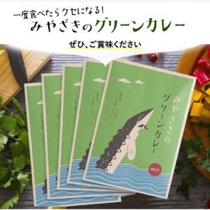 ふるさと納税 みやざきのグリーンカレー(150g×5個セット) 宮崎県宮崎市