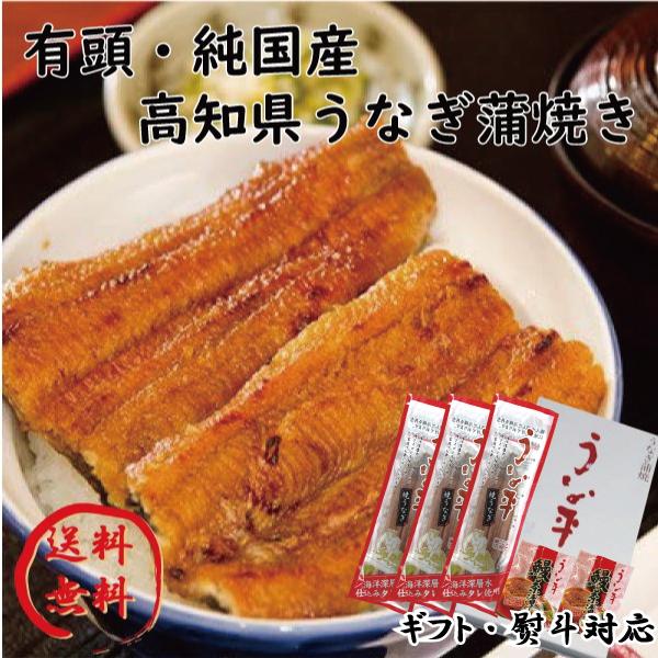 高知　国産　鰻　蒲焼　3尾　鰻茶漬けセット　贈り物 ギフト 内祝 御歳暮 御中元 高知　特産品