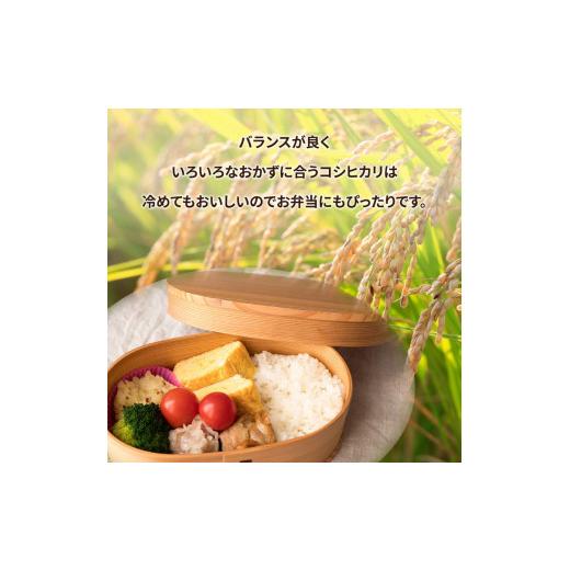 ふるさと納税 茨城県 土浦市 令和5年産米 新米 土浦市産 コシヒカリ 精米5kg ｜ 茨城県土浦市のお米が収穫される旧新治村地区は、ホタルが舞うのどかな里です…