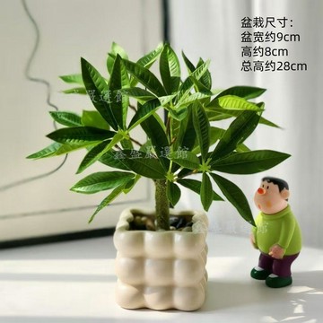 💖臺灣出貨💖仿真散尾葵盆栽北歐ins風玄關網紅仿真綠植客廳桌面電視櫃發財樹038s