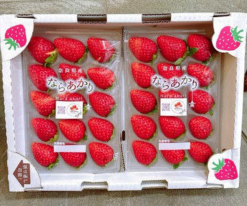 【帕查嬤嬤】????日本 奈良 最新品種 ならあかり 明草莓｜日本草莓禮盒