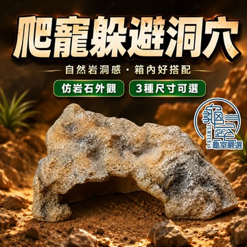 PJ小舖 爬蟲躲避洞 仿岩石樹脂躲避屋 守宮鬆獅蜥飼養箱洞穴造景