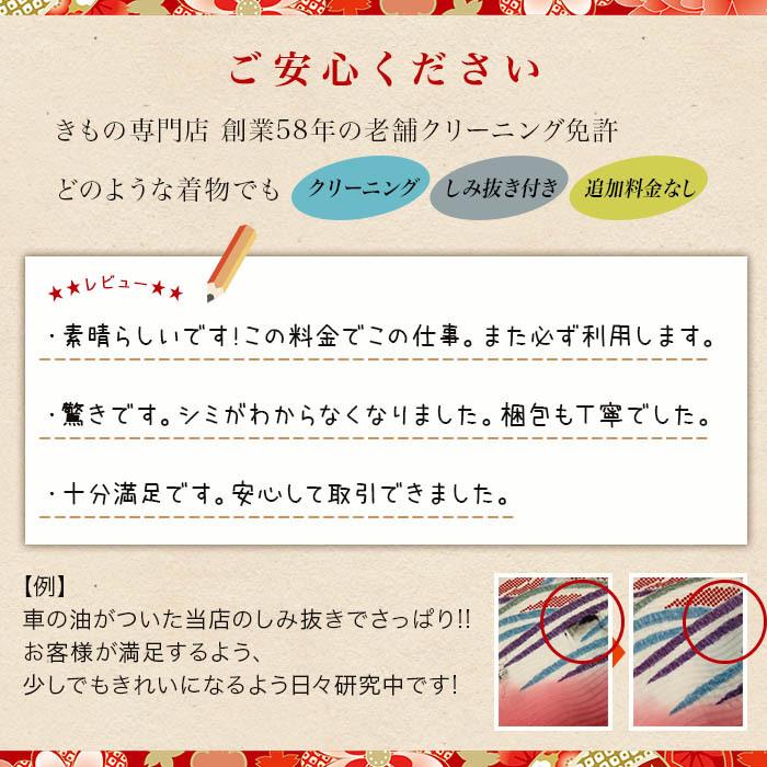 着物 クリーニング オゾン加工 抗菌 丸洗い しみ抜き プレス付 追加料金なし 洗い 洗濯 きれい たとう紙納品 きもの クリーニング 生洗い 着物クリーニング