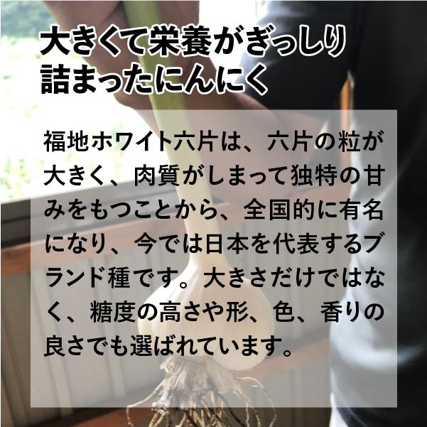 にんにく 土付き にんにく 青森 1kg 新物 送料無料 青森県産にんにく 1キロ 土付きニンニク ネット詰め 国産