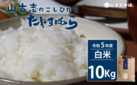 G3-06旧山古志村のこしひかり「たねすはら米」白米10kg（新潟県産コシヒカリ）