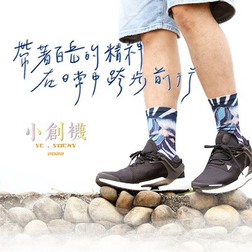 【小創襪】百岳之美-玉山 咖啡紗3Ｄ科技機能襪 登山襪 運動襪 (單入禮盒)