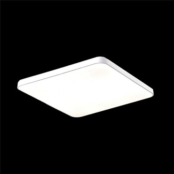 96W 單色吸頂燈  L01-2544B