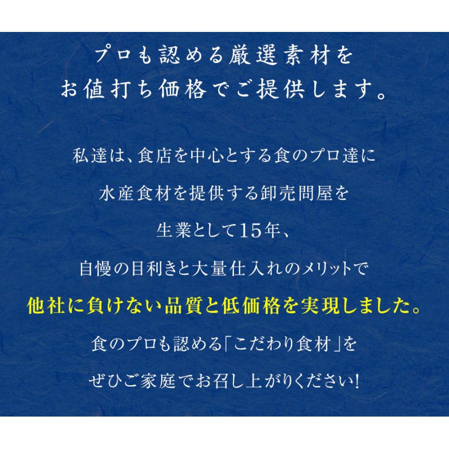 訳あり 生ほたて貝柱 大玉 1kg ホタテ 帆立 生食用 刺身用 送料無料 お歳暮 ギフト 海鮮グルメ 北海道 母の日 父の日 敬老