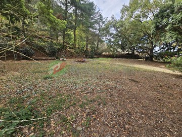 東勢｜軟埤坑休閒農業區｜大茅埔甜柿園｜台中市東勢區大茅埔段