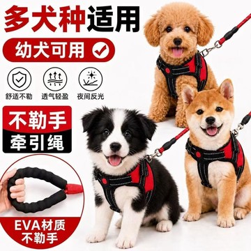 【台灣出貨】寵物牽引繩狗狗揹帶胸背幼犬小型犬泰迪比熊柯基柴犬防掙脫遛狗繩