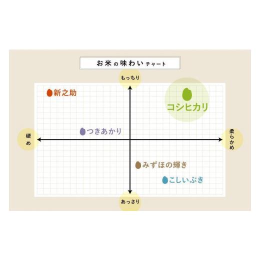 ふるさと納税 新潟県 令和5年産新米玄米各2kg 南魚沼産コシヒカリ・佐渡産コシヒカリ・新潟産コシヒカリ