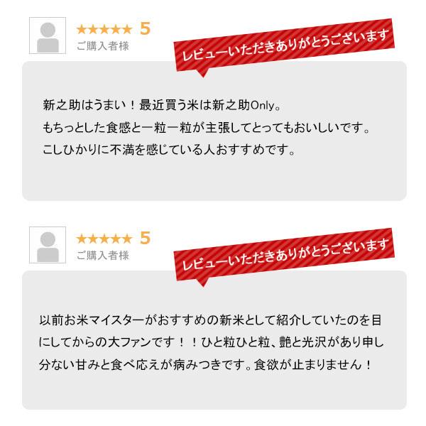 新米 20kg 新之助 お米 20キロ 令和5年産 新潟県産 一等米 しんのすけ 送料無料 白米 産直 精米 5kgx4袋