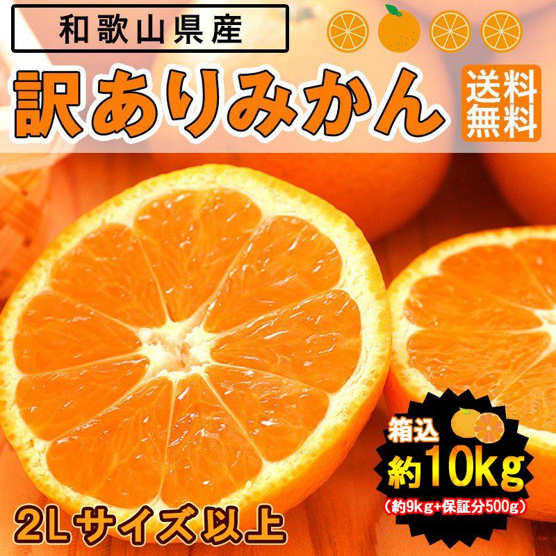 みかん 大玉（2Lサイズ以上）10kg（箱込約10kg）和歌山県産 訳あり・ご家庭用 送料無料（東北・北海道・沖縄県除く）（配達日指定不可）