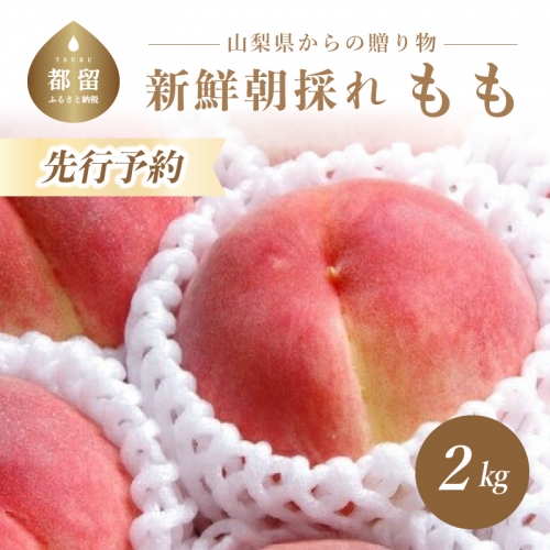 日本一の産地山梨県産　朝採れ桃２kg(５～８玉）