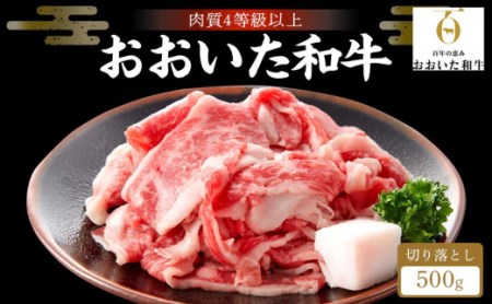 赤身（ウデ・モモ）切り落とし 500g｜肉質4等級以上 国産和牛