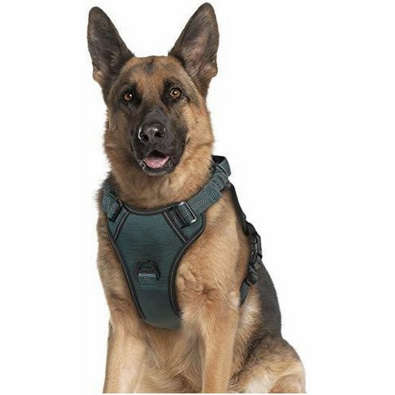 Rabbitgoo 犬 ハーネス 中型犬 大型犬 ペット 超強化縫い目 引っ張り防止 バックル式 おしゃれ 衝撃吸収 反射材料 通販 Lineポイント最大0 5 Get Lineショッピング