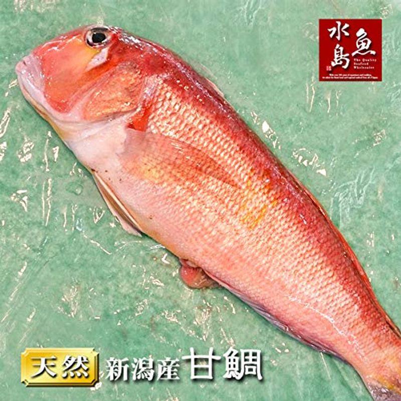 魚水島 新潟産 天然 甘鯛 アマダイ（グジ）1,300?1,399g（生冷凍）