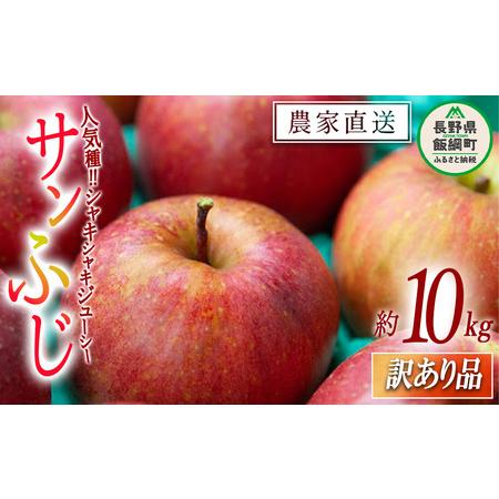 ふるさと納税 りんご サンふじ 訳あり 10kg 原山農園 沖縄県への配送不可 2023年12月中旬頃から2024年2月上旬頃まで順次発送予定 令和5年度収穫.. 長野県飯綱町