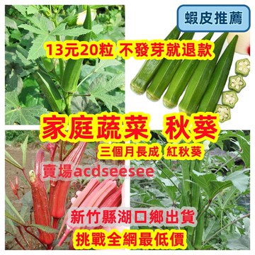 🔥快速收成🔥日本丸莢黃秋葵種子 水果秋葵 清脆好吃 3個月採收 陽台盆栽 庭院菜園 新手必種 高產量 健康蔬菜