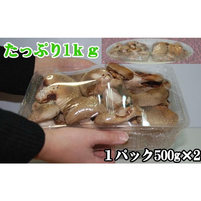 生しいたけ 訳あり 1kg 500g×2 生シイタケ 椎茸 味は一級品 朝採れたて菌床栽培 生椎茸 しいたけ 国産 生しいたけ 野菜 ギフト 業務用 野菜 訳あり