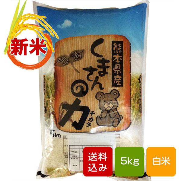 くまさんの力 白米 5kg 熊本県産 令和5年産 米 コメ こめ