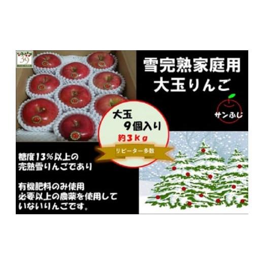 ふるさと納税 青森県 弘前市 1〜2月発送 訳あり 雪完熟 家庭用大玉 サンふじ 9個入り 