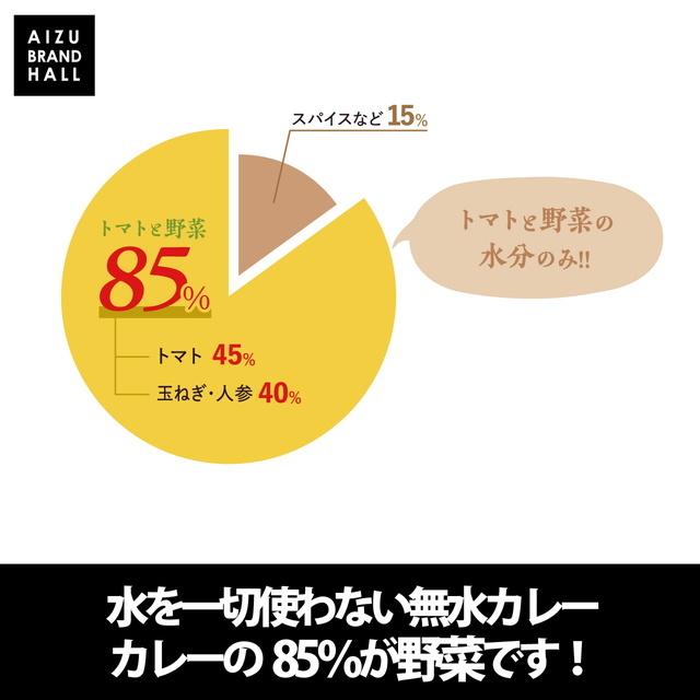 無水 カレー 水を一切使わずトマトと野菜の水分のみで作ったZEROカレー2個セット 野菜カレー