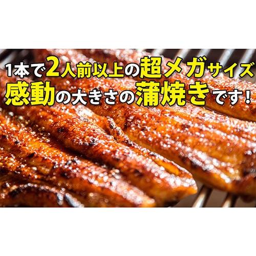 うなぎ屋かわすい 国産うなぎ 蒲焼き 230g 1本（タレ付き 山椒別売り)