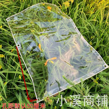 透明防水軟膜0.3mm戶外帆布透明蓬布pvc陽臺窗戶防風防雨布