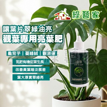 【綠藝家】植予 綠優 120ml 點滴瓶 觀葉植物專用肥 龜背芋 蔓綠絨 觀音蓮 氮肥 液肥 葉面噴灑 讓葉
