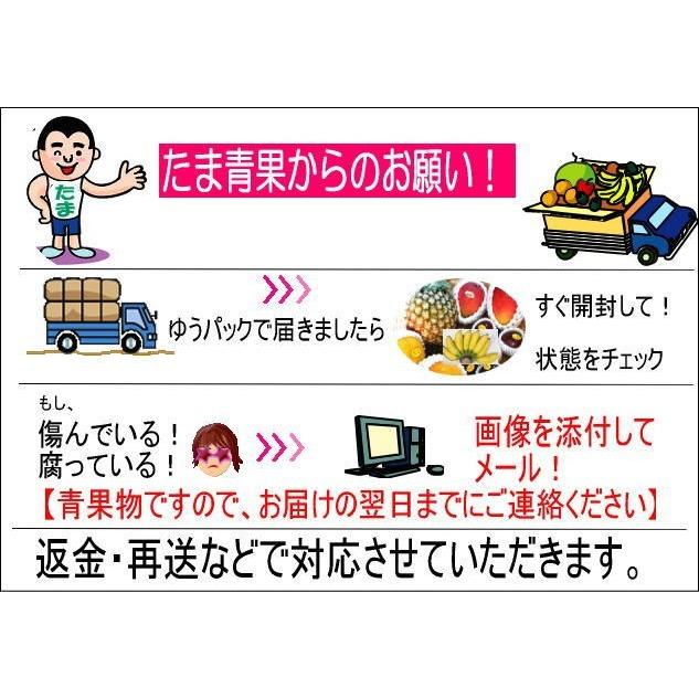 ≪送料無料≫沖縄県産野菜 　キャベツ 1箱　8〜10ｋｇ（5〜10個）