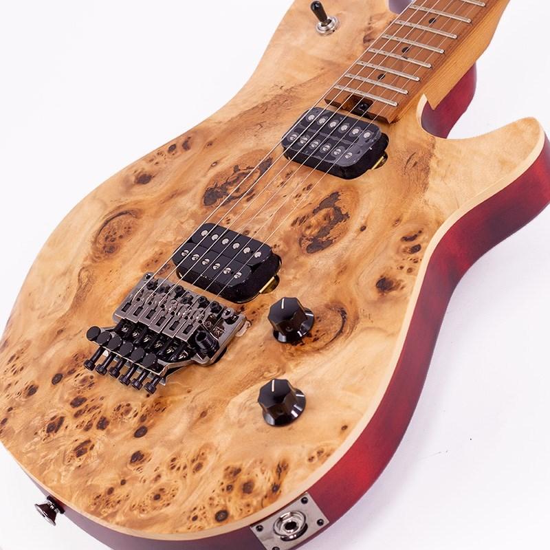 EVH Wolfgang WG Standard Exotic Poplar Burl (Natural Baked Maple) 